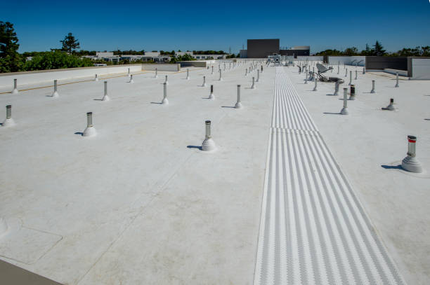 Best Roof Insulation Installation  in Tome, NM